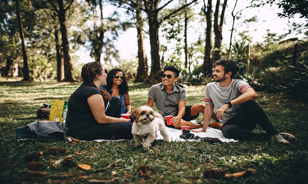 Group of people sititng